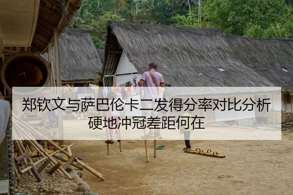 郑钦文与萨巴伦卡二发得分率对比分析硬地冲冠差距何在