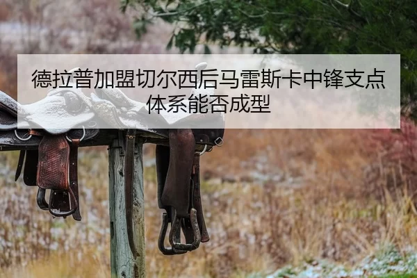 德拉普加盟切尔西后马雷斯卡中锋支点体系能否成型