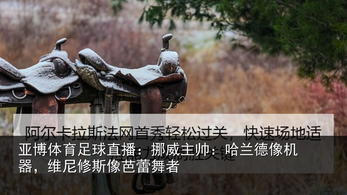 亚博体育足球直播：挪威主帅：哈兰德像机器，维尼修斯像芭蕾舞者